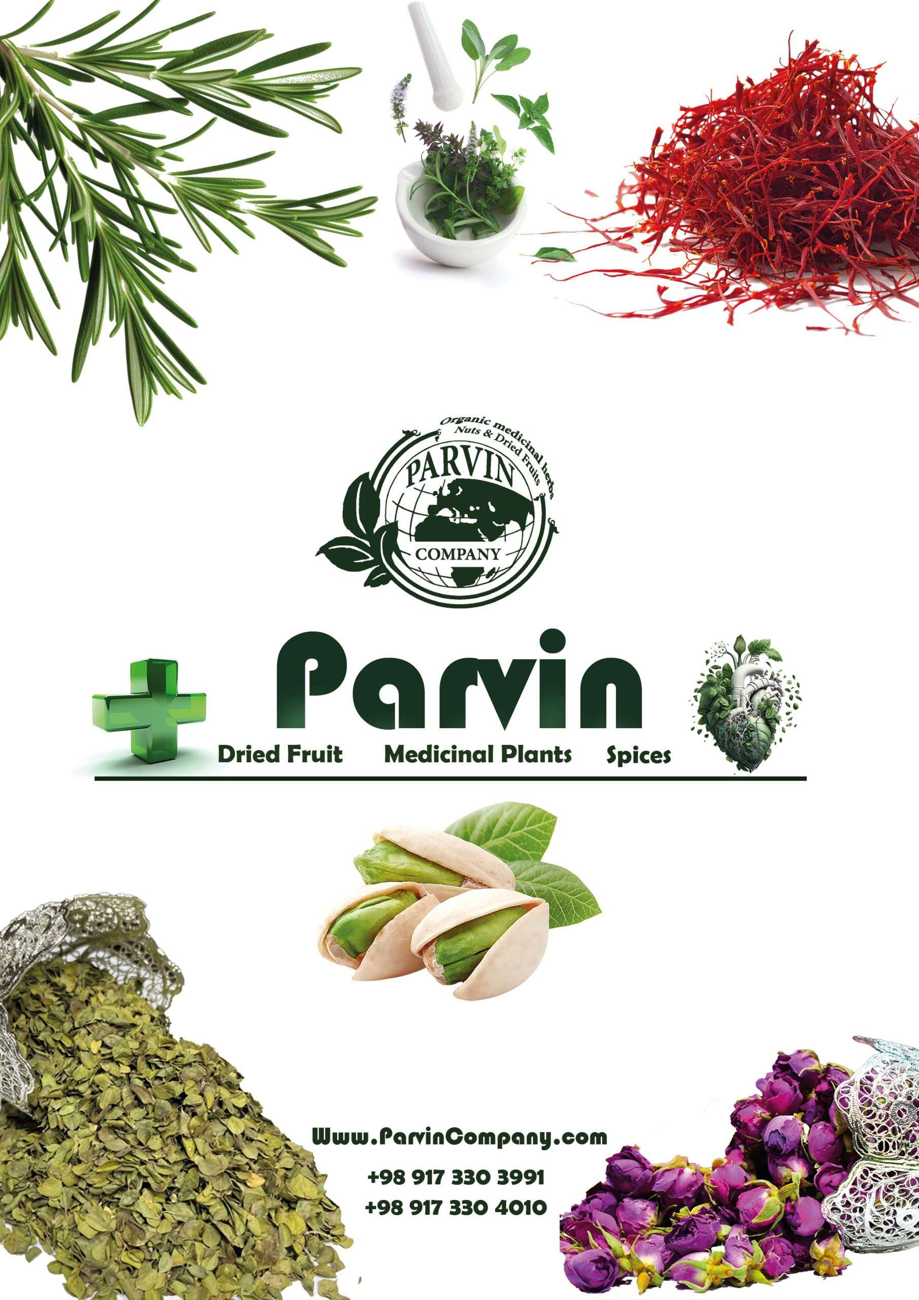 عطاری سوفیای مولانا