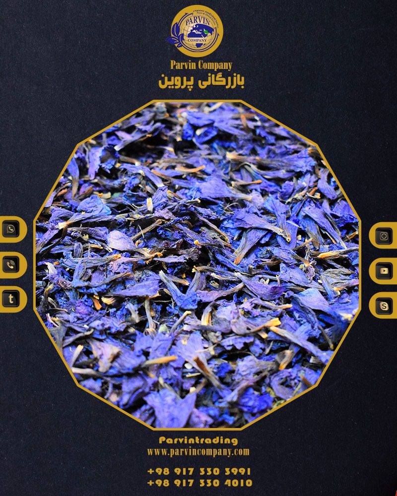 خرید عمده گل گاوزبان و قیمت 11 مرداد 1405 | بازرگانی پروین