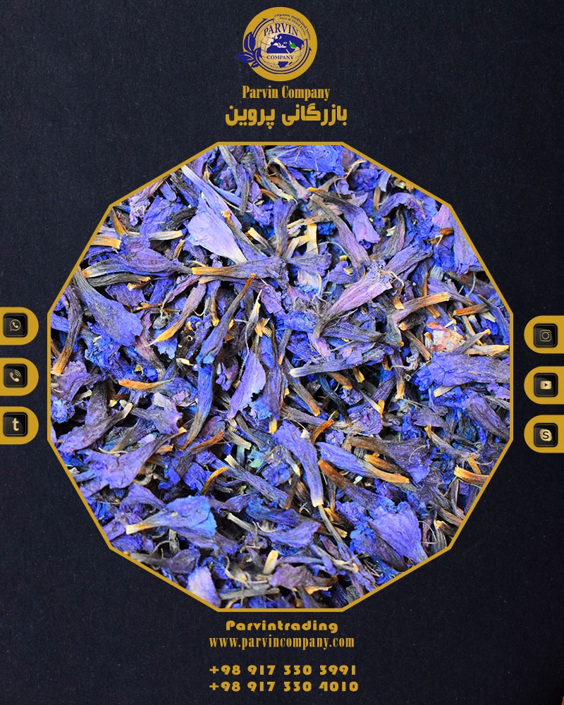 خرید عمده گل گاوزبان و قیمت 11 مرداد 1405 | بازرگانی پروین